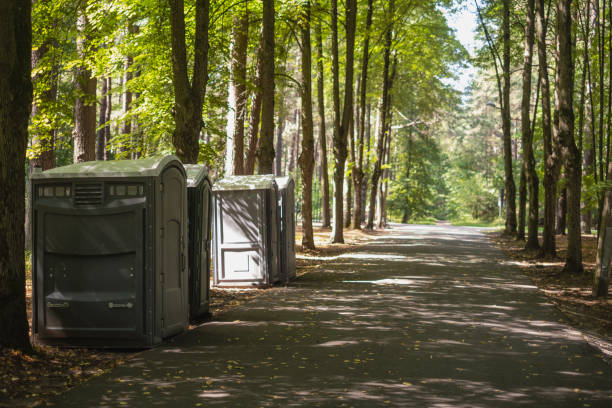 Best Porta potty rental for parties  in Cherokee Village, AR